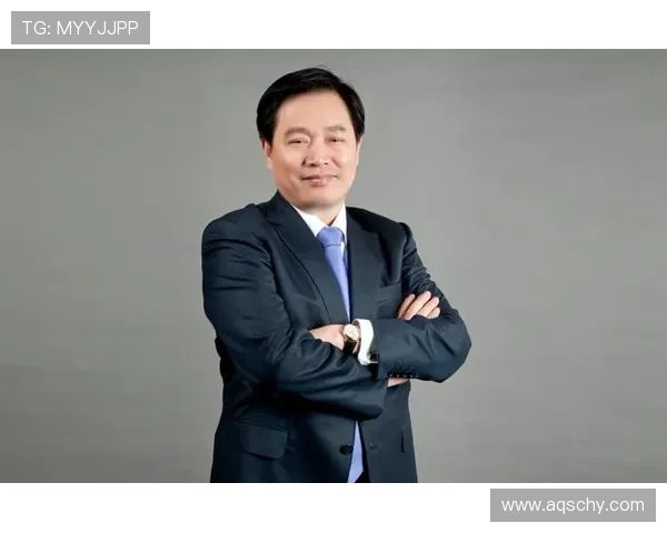 《中国企业家:在全球竞争中崛起的中国企业创新与领导力新机遇》